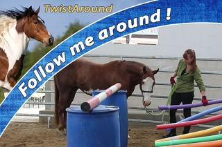 FMA Horse Agility Basiskurs 2016