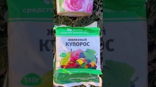 Осенняя искореняющая обработка плодового сада осень