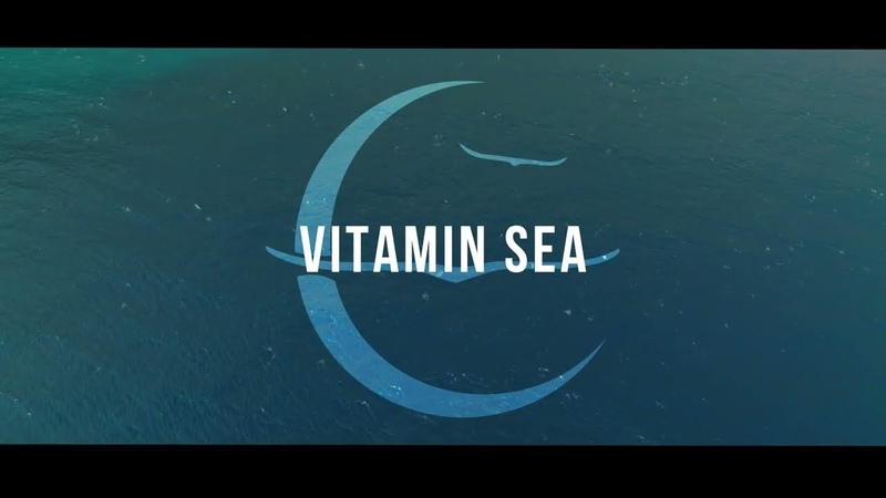 Owl City Vitamin Sea ( Official Lyric
