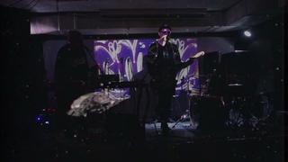 Space Lodger  -  What Is Wrong With Freedom? 2016