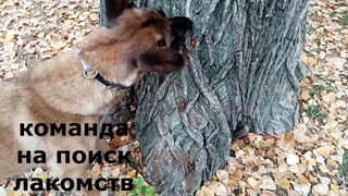 Марафон поисковые игры  Задание 3