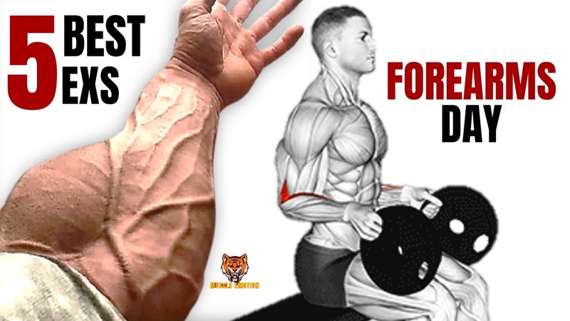 5 BEST Exercises for Bigger Forearms at