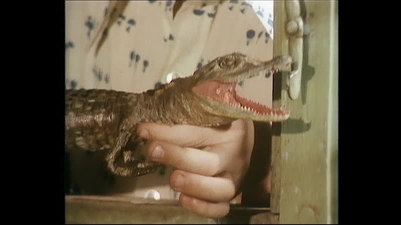 Дом крокодилов, Das Haus der Krokodile ( 1976 ) детектив, приключения,
