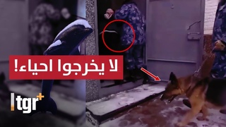 من يدخله لا يخرج .. هذا مايحدث داخل “الدولفي 