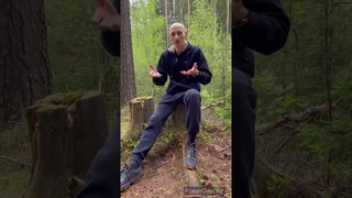Отзыв о терапии : что чувствует душа, откуда блоки и благодаря чему идёт распаковка/Надежда Любимова