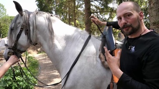 Medieval Saddles