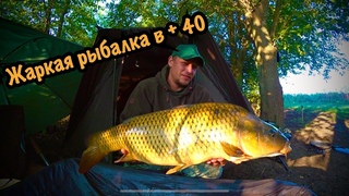 На рыбалку за карпом в июле 2022 | ночная ловля мощных карпов в Краснодарском крае | HD