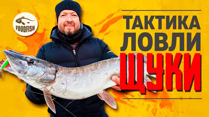 ТАКТИКА ЛОВЛИ ЩУКИ на СПИННИНГ. Анализируем погоду