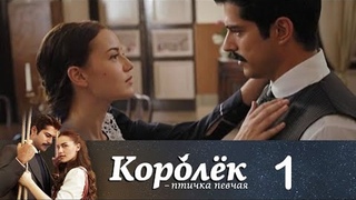 Серия 1. Королёк - птичка певчая - 30 серий (2013-2014) Турция. Все видео в комментариях.