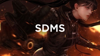 SDMS - Beauty In The Ashes (feat. Valencia James)