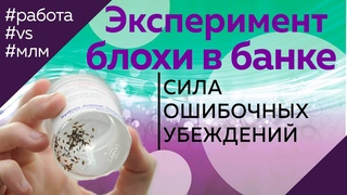 Удивительный эксперимент  Блохи и банка