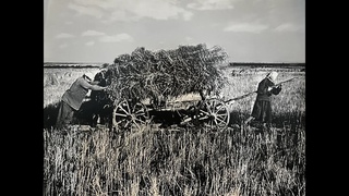 Уральская деревня в годы Великой Отечественной войны. Видеоэкскурсия