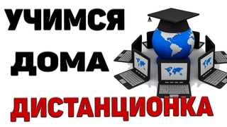 Плюсы и минусы дистанционного образования