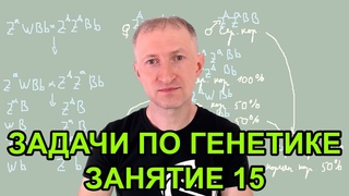 Задачи по генетике - 15. Сцепление с полом. Решение задач