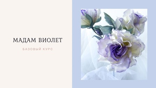 Базовый курс №1 Rosa Madam Violet