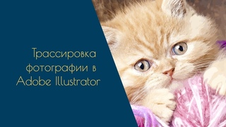 Adobe Illustrator Tutorial - трассировка фотографии. #illustrator #illustratortutorial #трассировка