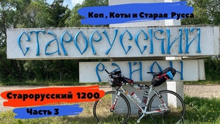 Старорусский 1200 часть 3 ...Самое интересное еще не началось , но Котов уже много.Едем дальше ....