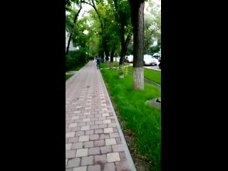 Манаса