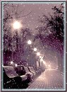 Фотография Syp Pod