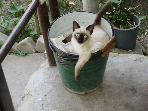 №198, Ярослава Виштакалюк, 27 лет, Тальное №198, Ярослава Виштакалюк, 27 лет, Тальное