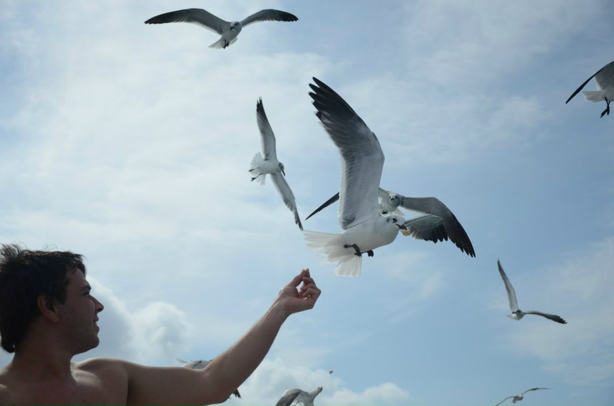 Сергей Желнинский Александрович | Воронеж