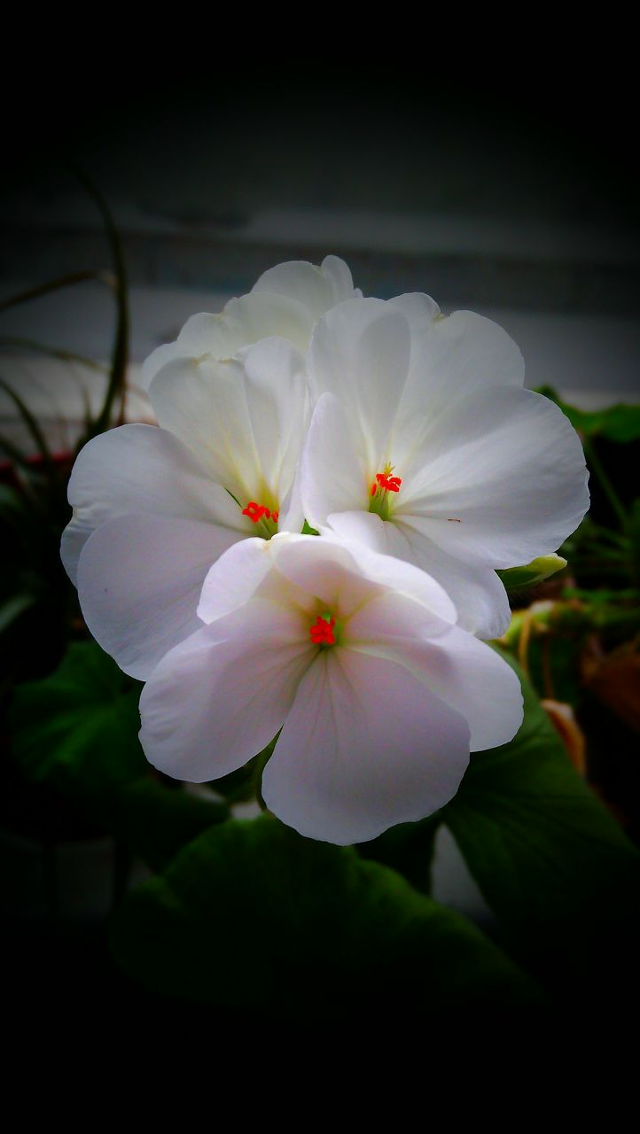 Юлия Александрова | Москва