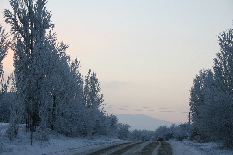 Марианна Казанцева | Севастополь