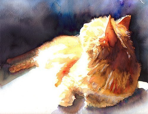 Сергей Кайдалов | Новокузнецк