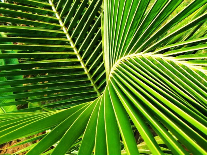 №22, Владимир Филиппов, 40 лет, Санкт-Петербург №22, Владимир Филиппов, 40 лет, Санкт-Петербург