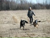 №16 Игорь Гринев 09.07.1957: профиль, фото, статус - ВКонтакте