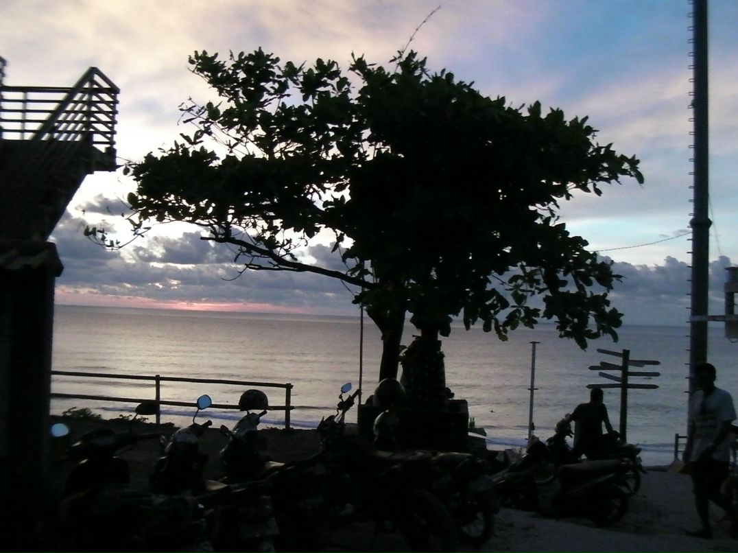 Sunny Crockett | Montego Bay