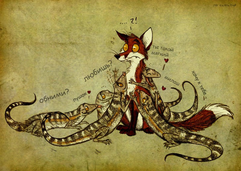 Юлия Штыменко | Луганск