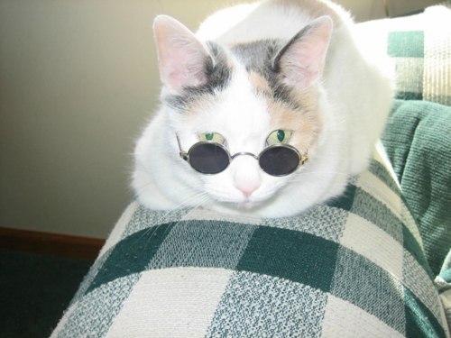 Иван Ёпте | Москва