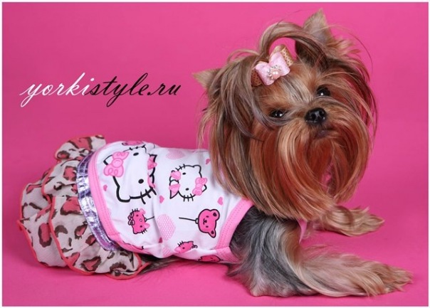 №29, Янка Кравчук №29, Янка Кравчук