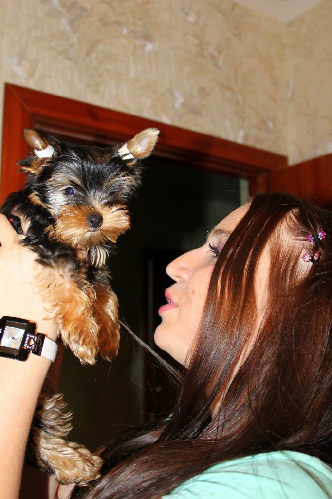 Таня Дмитровская | Санкт-Петербург