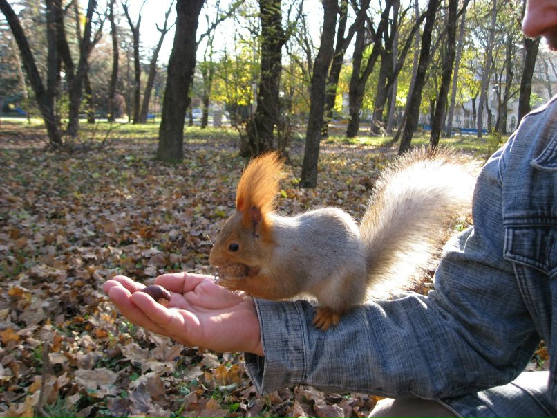 Татьяна Павлова | Москва