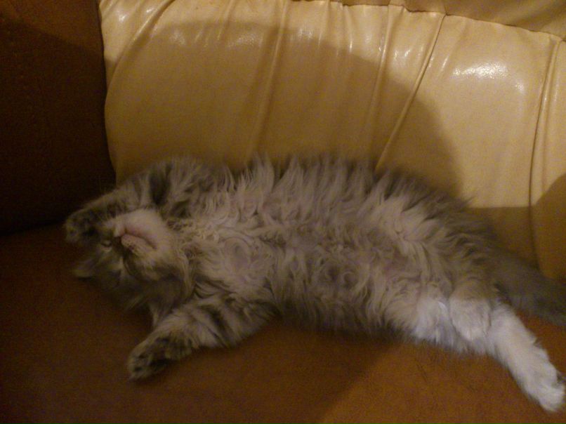 Альбина Сорока | Казань