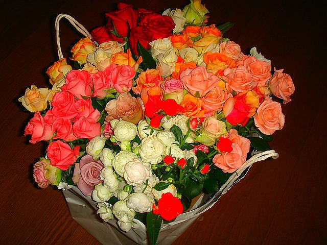 Лариса Нуриева ☾ ⋆ | 