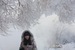 Злата Лебедева фотография #47