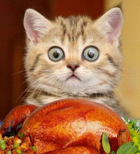 Ольга Шоцкая | Antalya