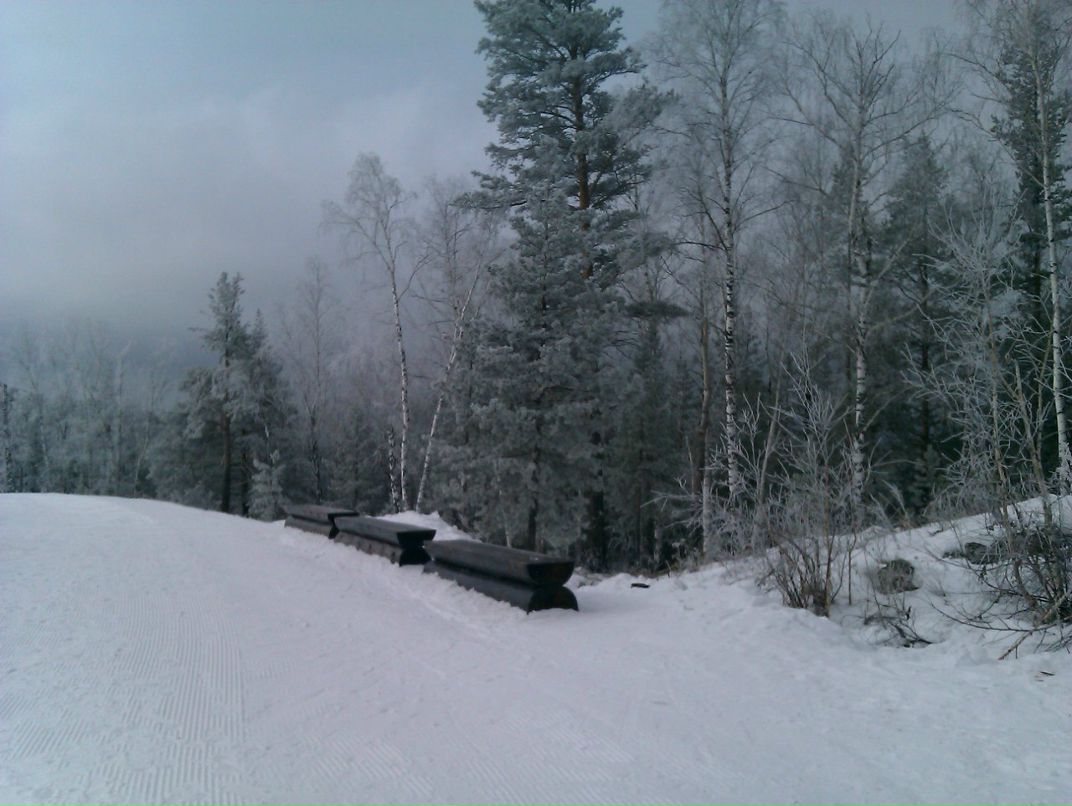 Лариса Буркова shehmet | Челябинск