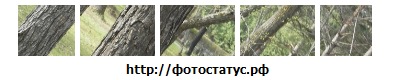 №101, Зинаида Чугуевская №101, Зинаида Чугуевская