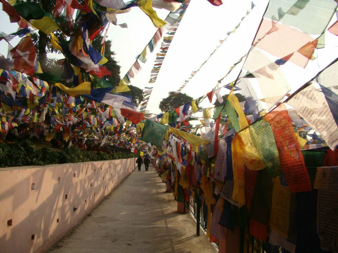 Светлана Толстикова LittleBlue :) | Dharmsala