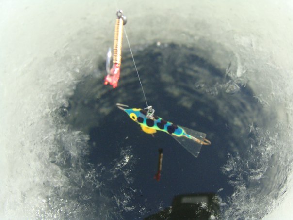 Александр Николаенко | Киев