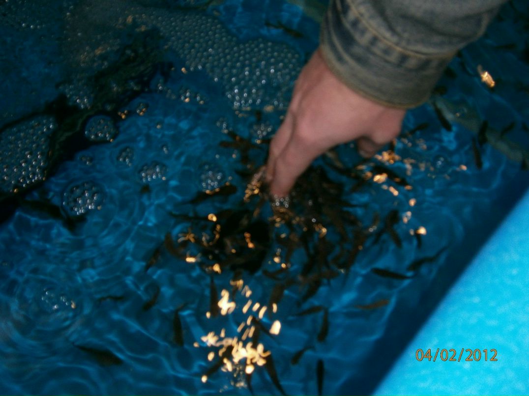 Yana Sadovska | Madrid