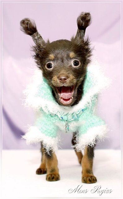 Настя Собакина | Новосибирск