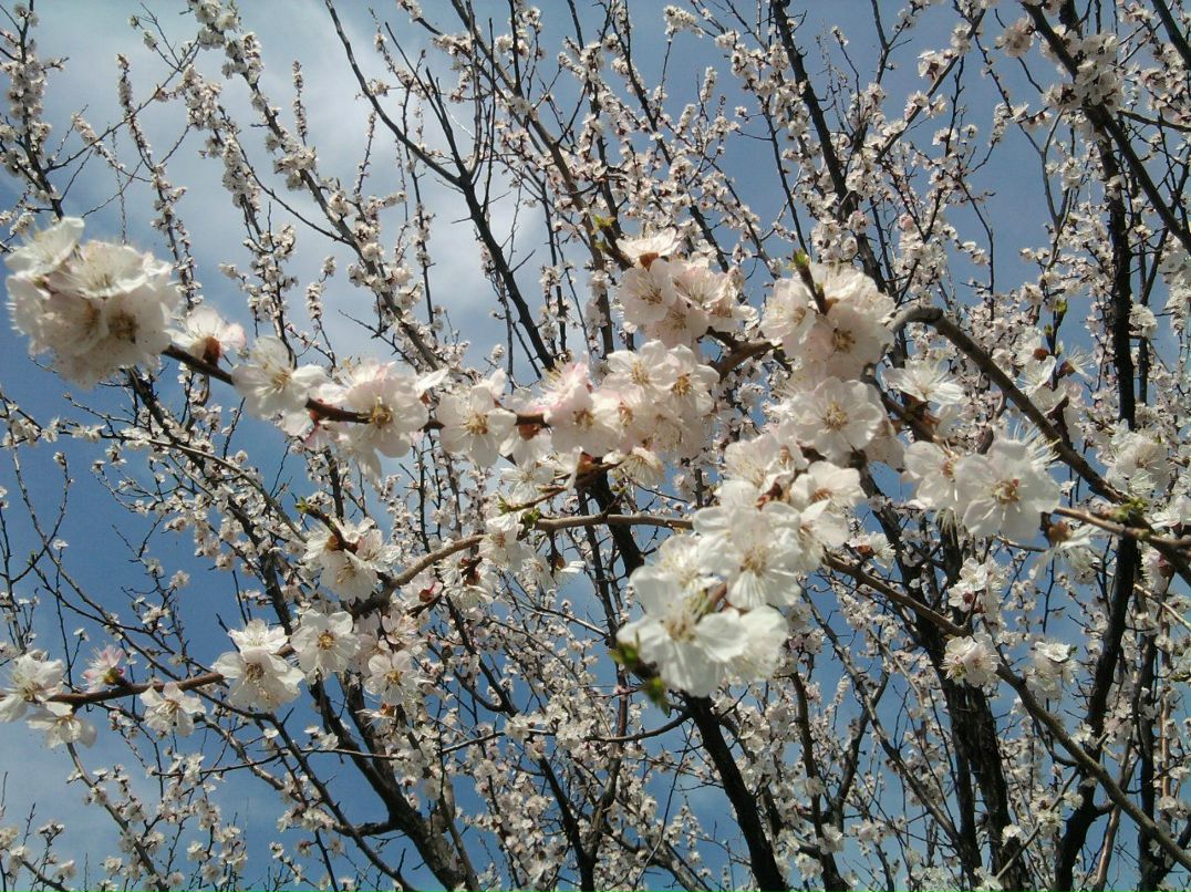 Анна Юрпольская | Краснодар