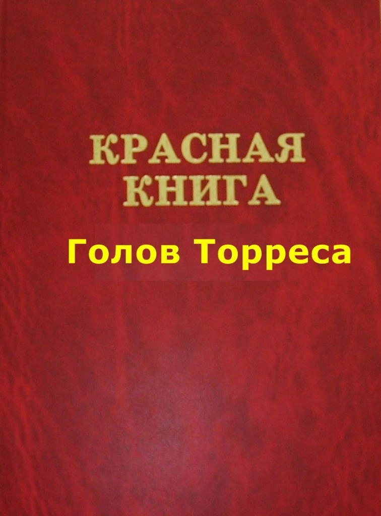 Владимир Февральский Богатырь славной руси | 
