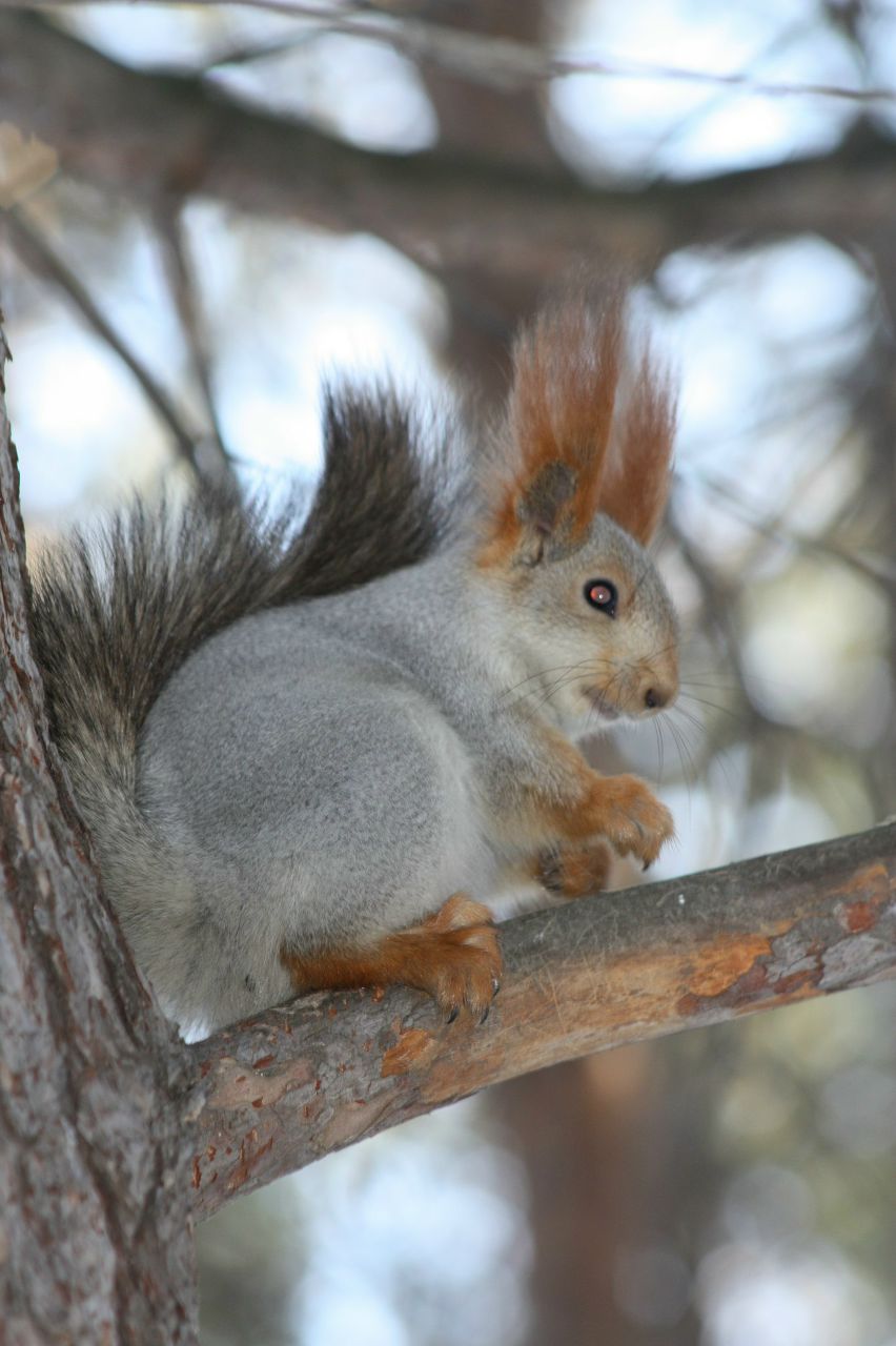 Александр Иванов 