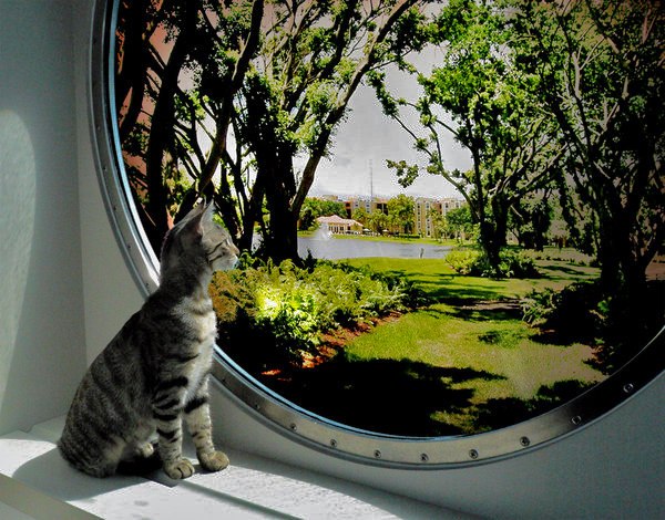 Rick Spierman | Delray Beach